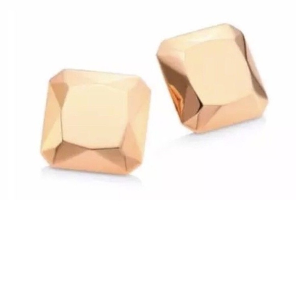 NWT Michael Kors Urban Rush Rose Gold Earrings - Picture 1 of 4